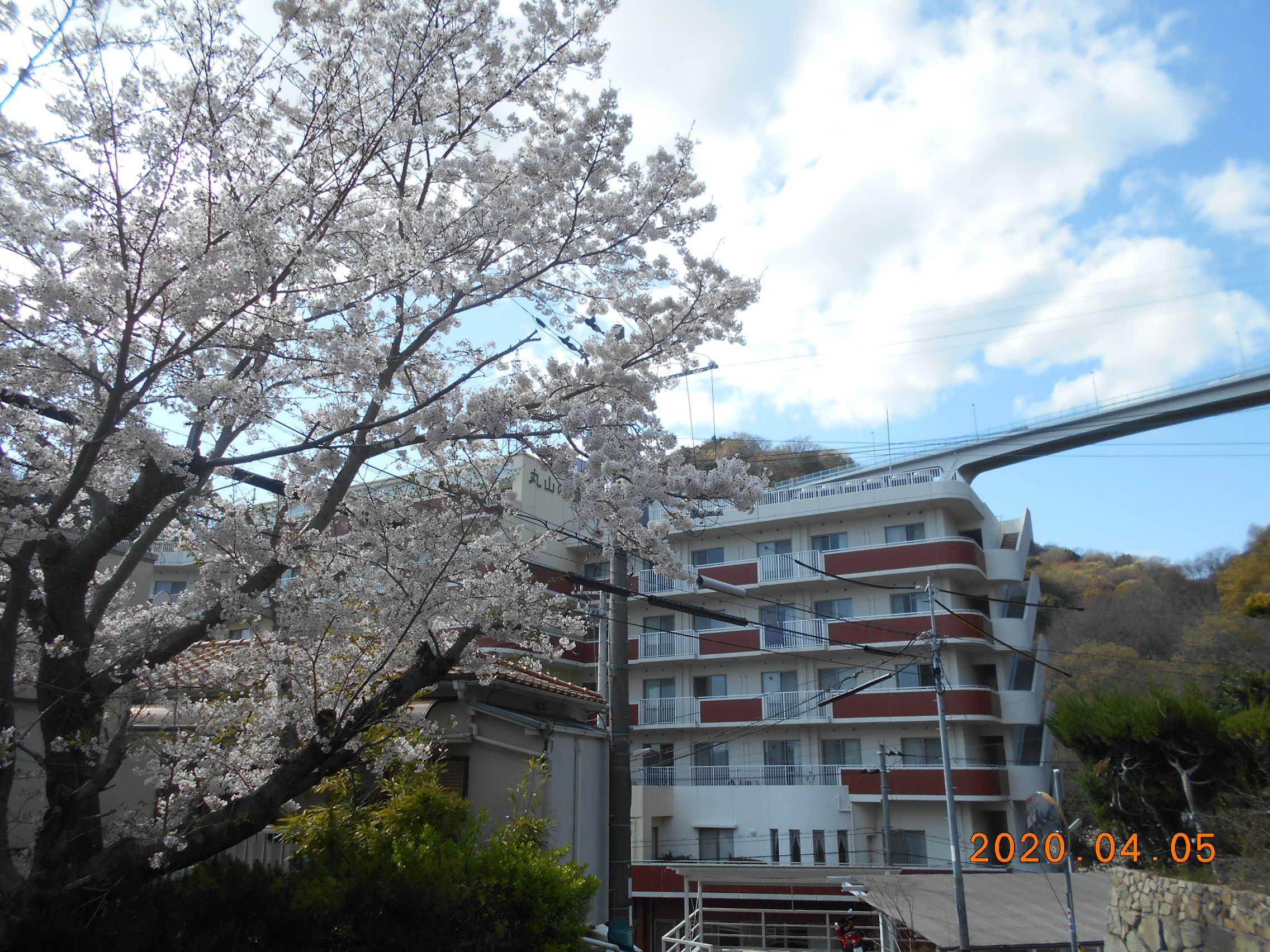 丸山の郷スタッフ